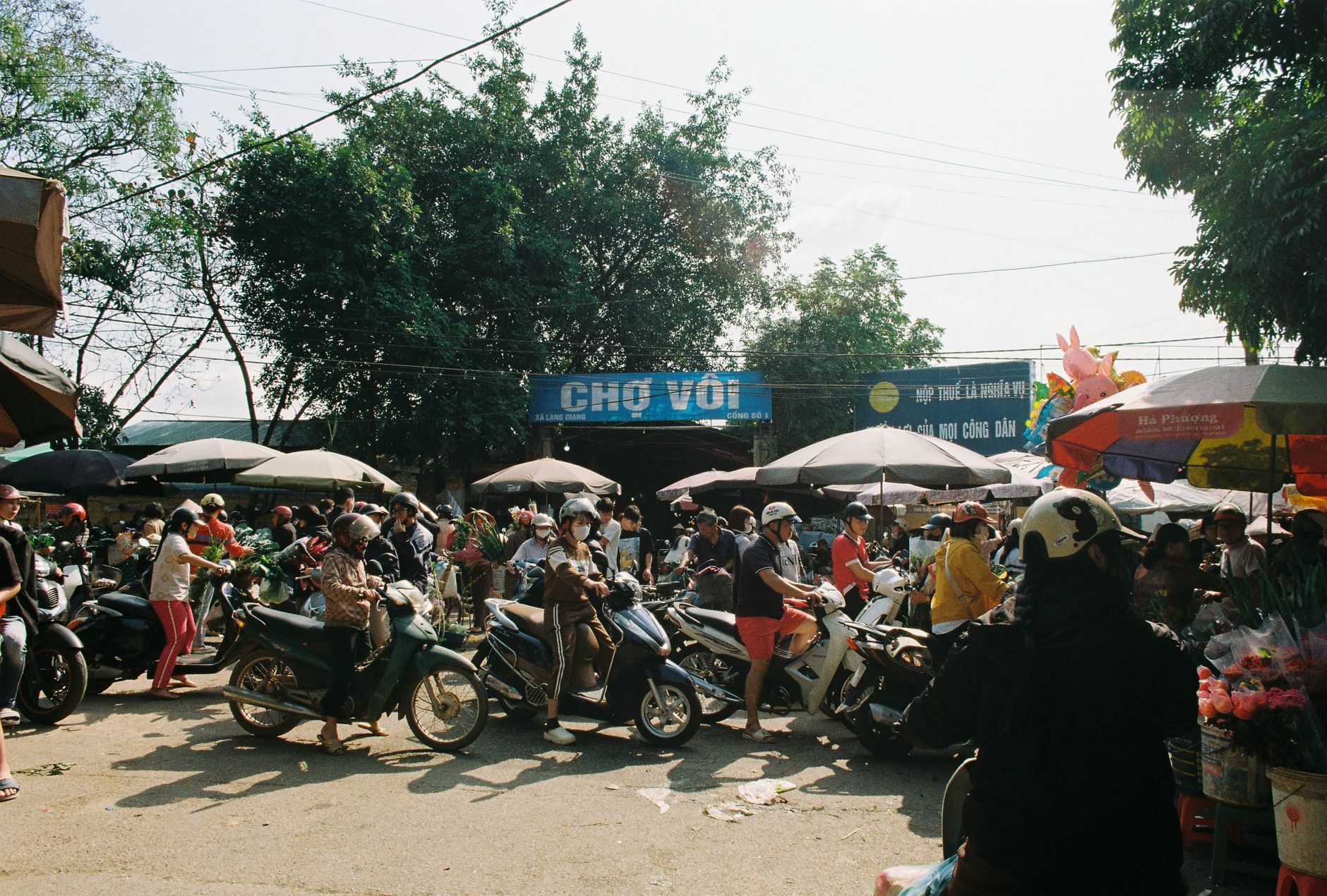 Tại Sao Chiến Lược Chao Đón Học Viên Lại Quan Trọng Trong Năm 2026? - Chao Đón Học Viên Khóa Học SEO Tiêu Chuẩn K29 Kết