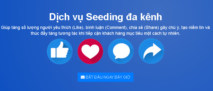 Dịch Vụ Seeding